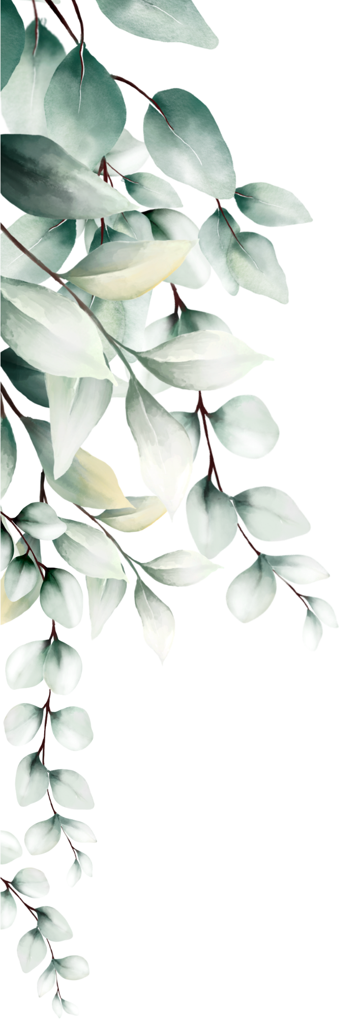 Plante